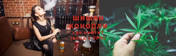 молекула духа Краснослободск