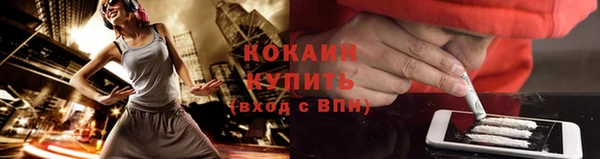 стафф Краснотурьинск