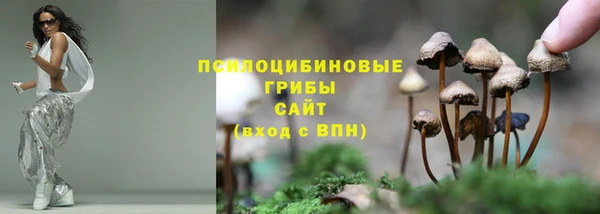 молекула духа Краснослободск