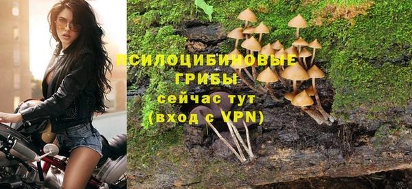 гидра Красноперекопск