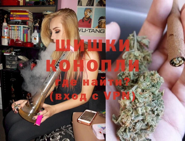 молекула духа Краснослободск