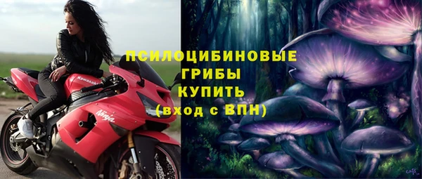 молекула духа Краснослободск