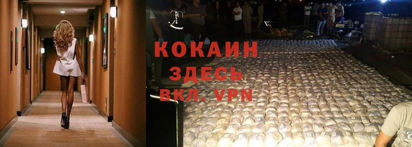 гидра Красноперекопск