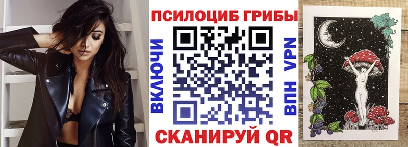 KRAKEN ссылки  Шимановск  Псилоцибиновые грибы Magic Shrooms 